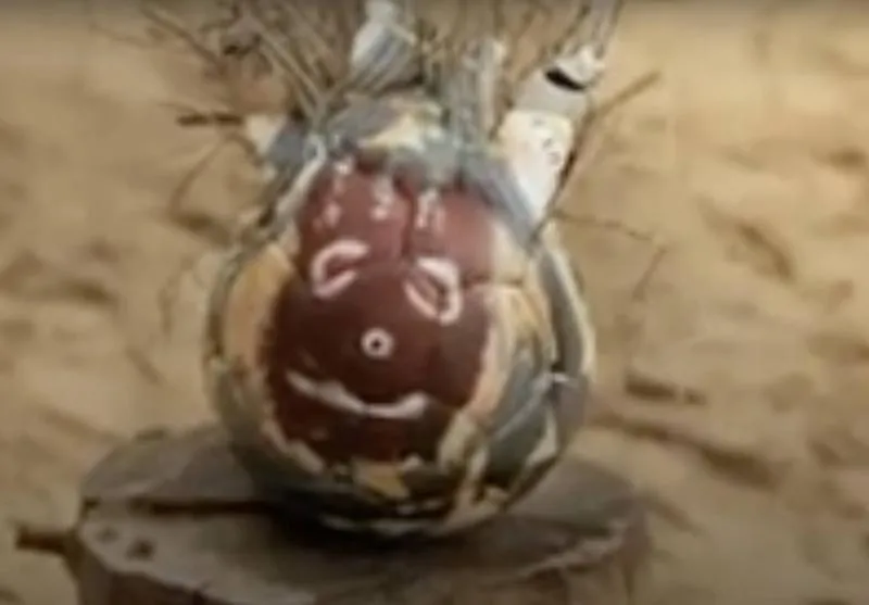 Anelka en Robinson Crusoé, Puma (2009)