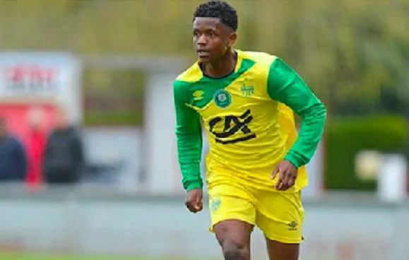 Lacemon, le prix de l’oubli