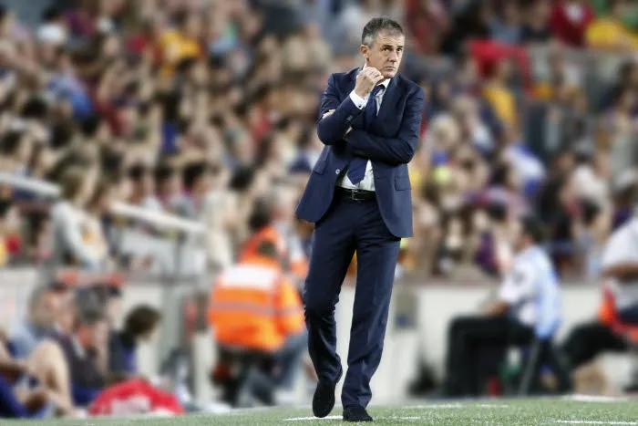 Lucas Alcaraz à la tête des Fennecs