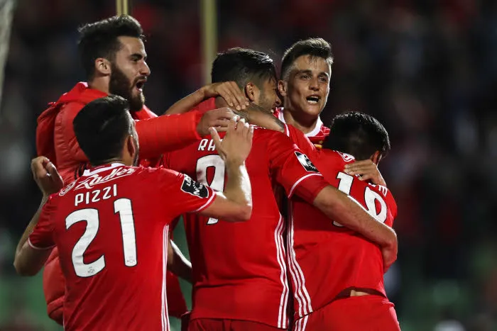 Benfica, une saison au sommet