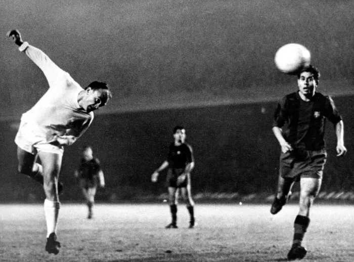 L’allégeance du blond