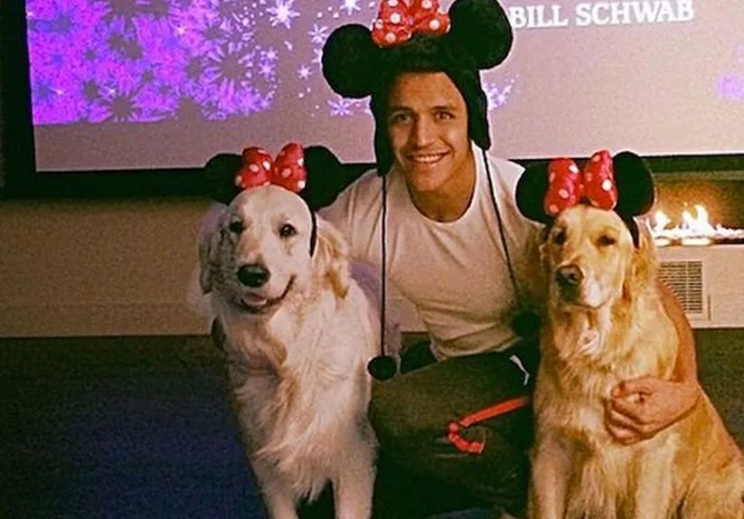Top 10 : Chiens de footballeurs