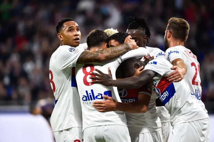 Un Lyon dans la brume