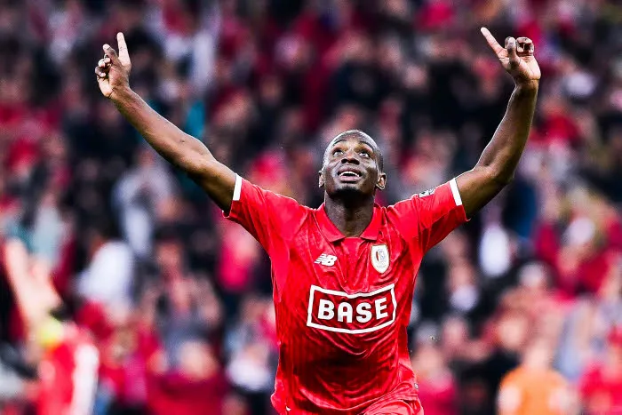 Mpoku cartonne Wilmots