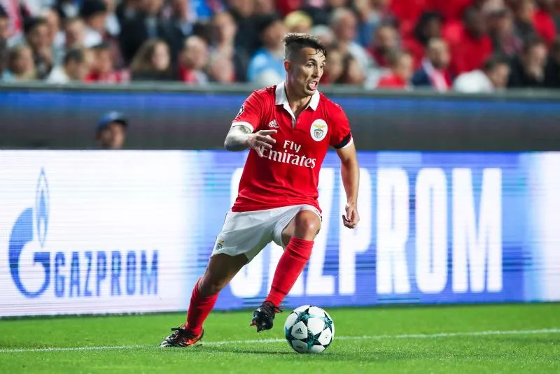 Grimaldo à Naples la saison prochaine ?