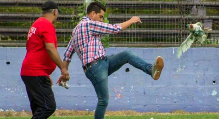 Un coach uruguayen shoote dans un poulet en plein match