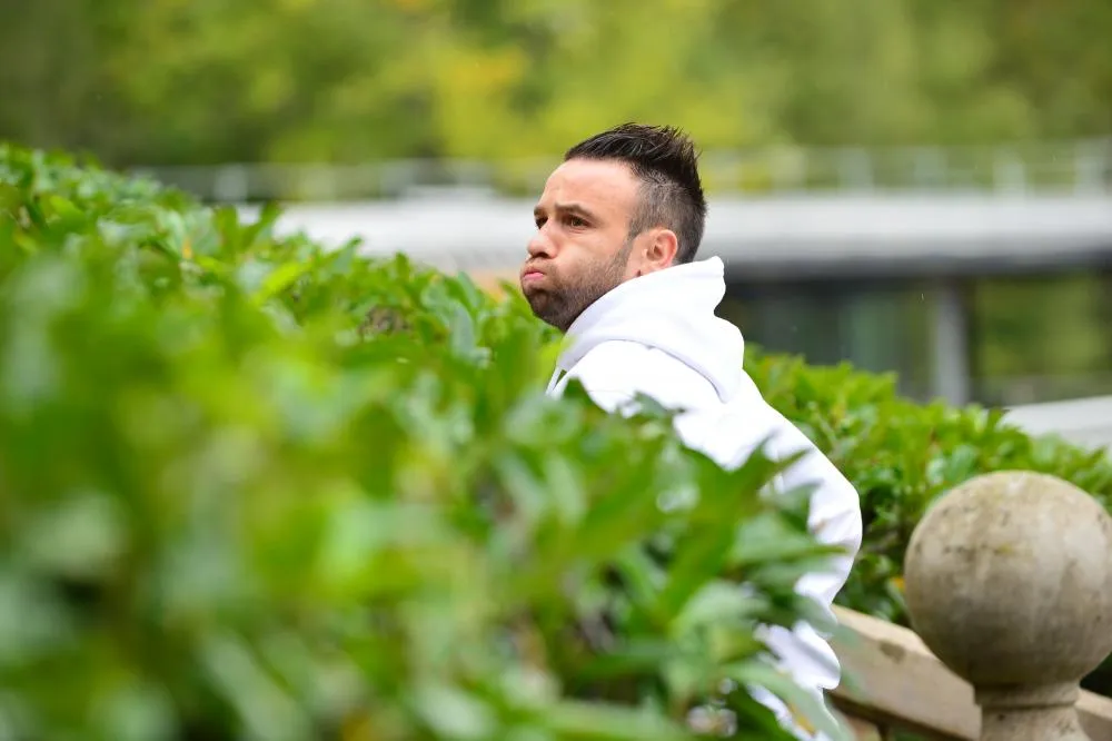 Mais qui es-tu, le buisson de Clairefontaine ?