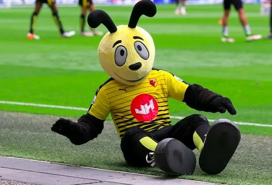 La mascotte de Watford est blessée au bras