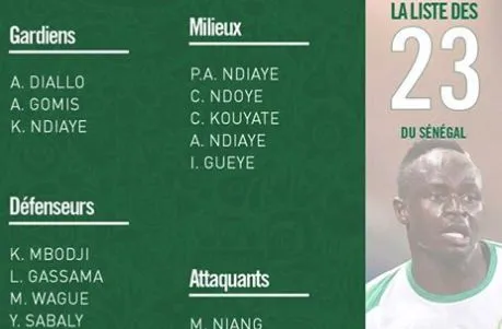 Photo : La liste des 23 du Sénégal pour le Mondial 2018 (via Facebook SO FOOT)