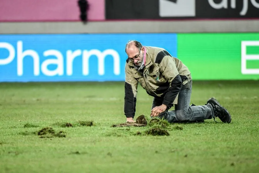 Mais qui es-tu, la pyriculariose ?