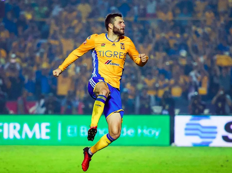 Gignac sauve encore les Tigres