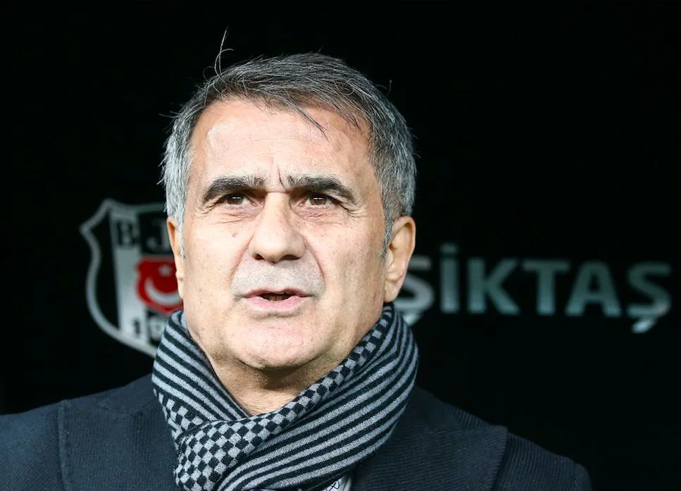 Senol Günes redevient sélectionneur de la Turquie