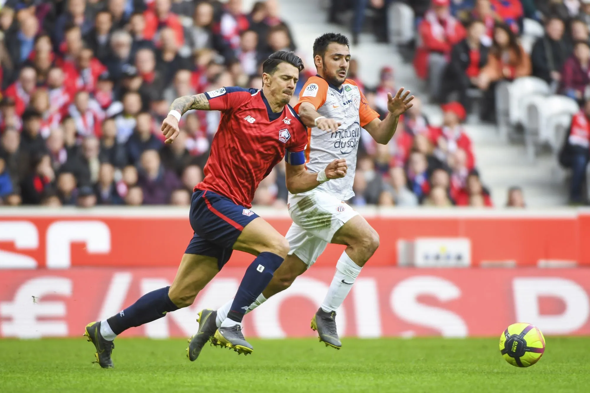 Montpellier fait le dos rond à Lille