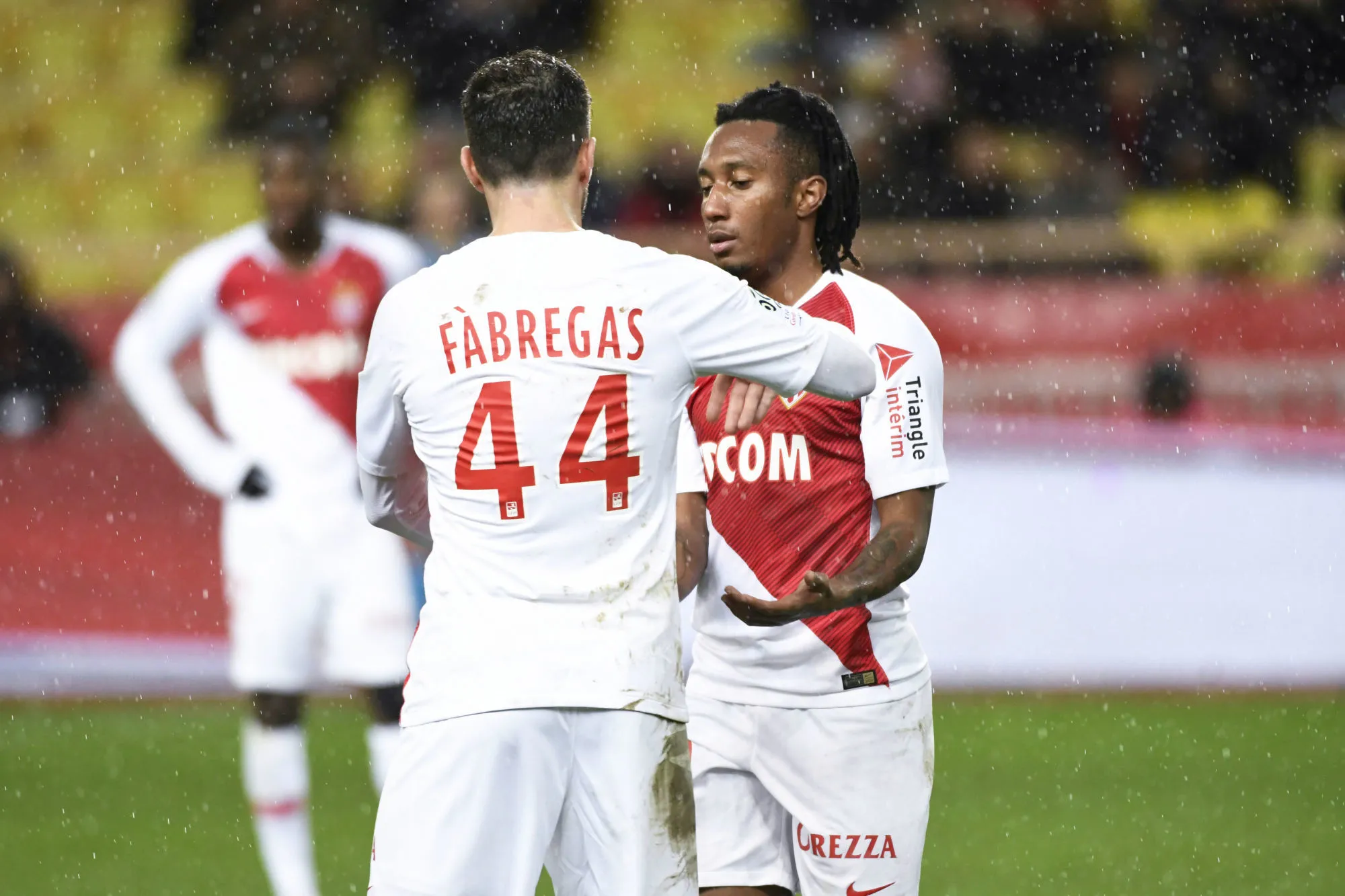 Pronostic Guingamp Monaco : Analyse, prono et cotes du match de Ligue 1
