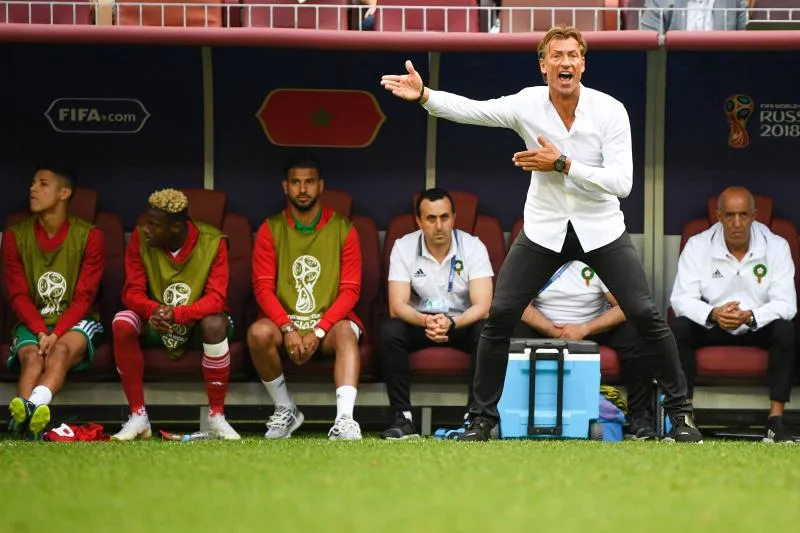 Maroc : Renard ratisse large