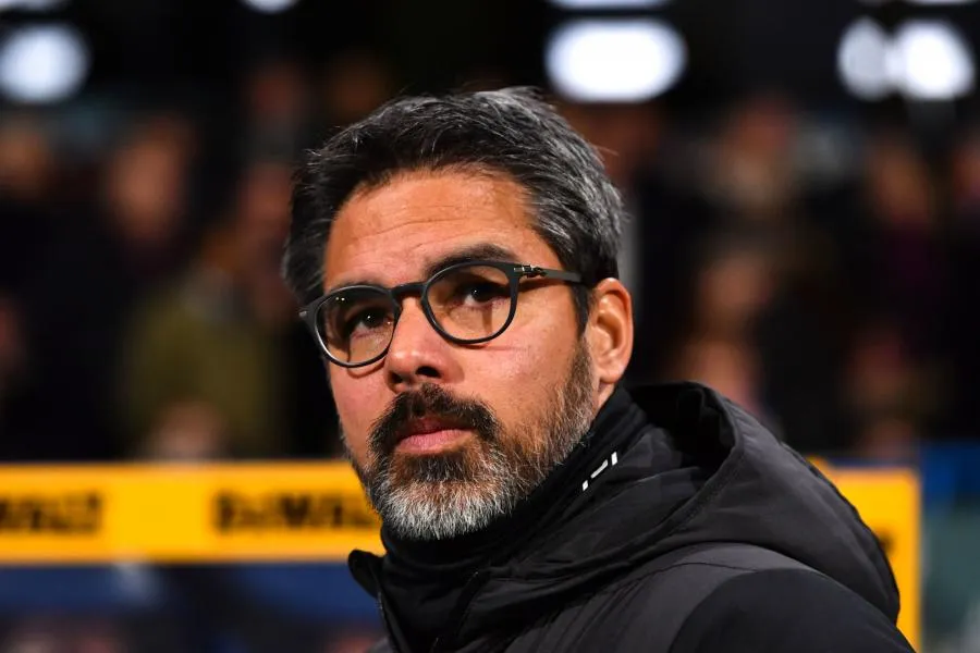 David Wagner en pole position pour entraîner Schalke 04
