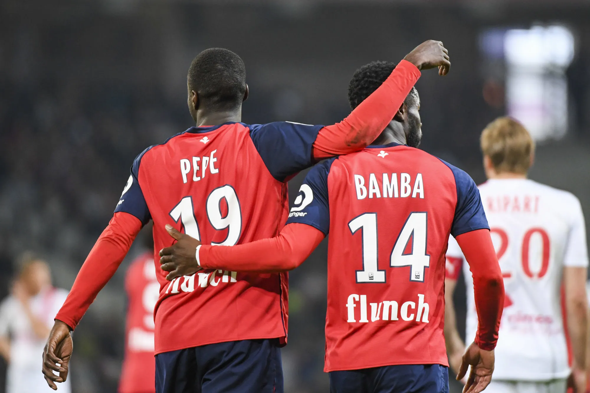 Pronostic Lille Angers : Analyse, prono et cotes du match de Ligue 1