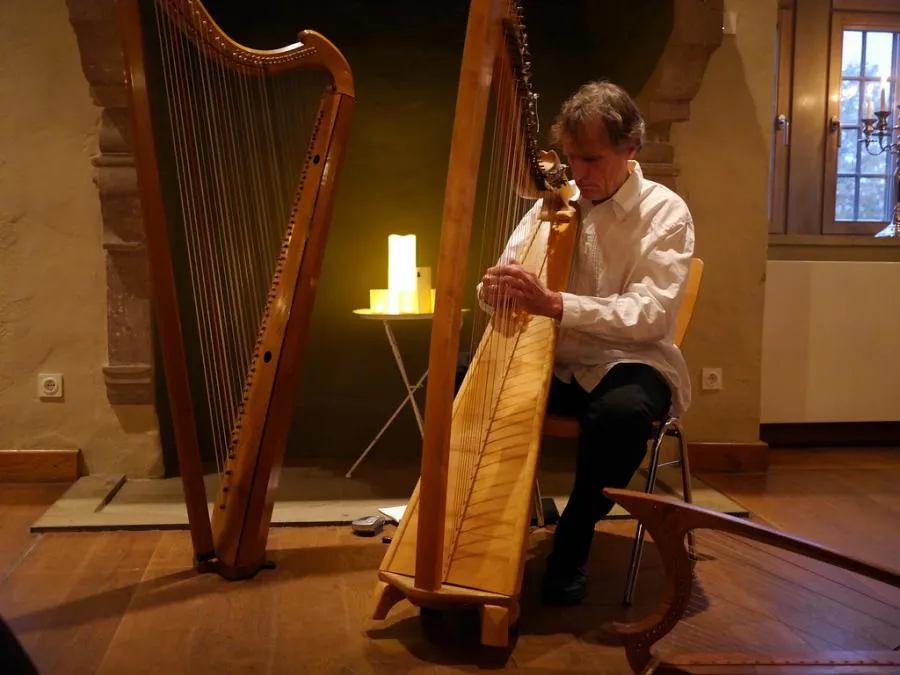 Un club de D3 anglaise cherche un harpiste pour la saison prochaine