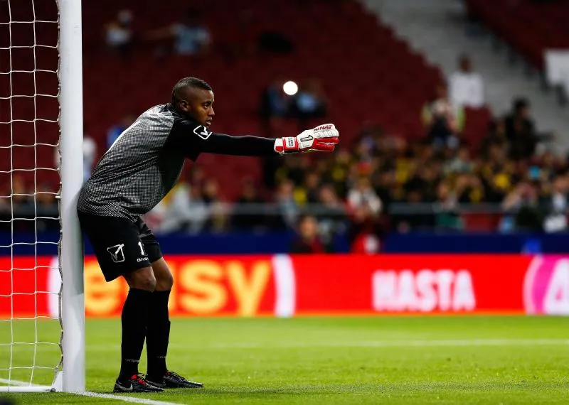 Wuilker Faríñez, félin racé