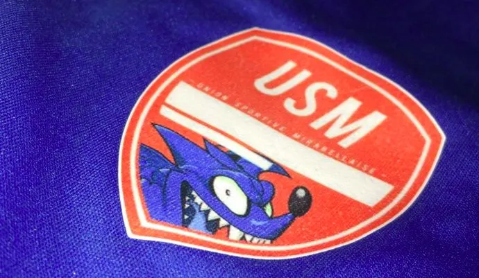 Top 10 : Les meilleurs logos de clubs inscrits au Vrai Foot Day