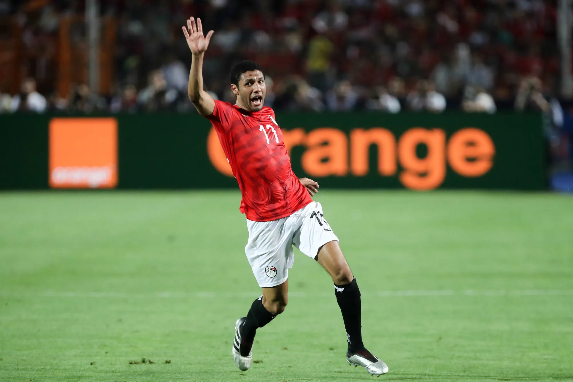 Un cadavre aurait été retrouvé dans la maison égyptienne d&rsquo;Elneny