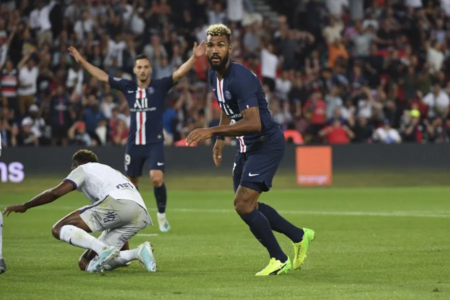 Choupo-Moting, l&rsquo;arbre qui cache une forêt défrichée