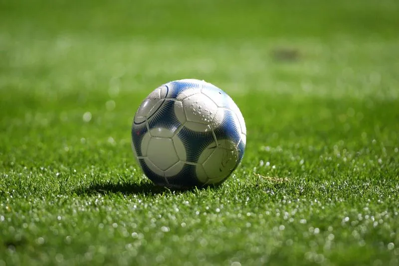 Daniel Revelli est décédé