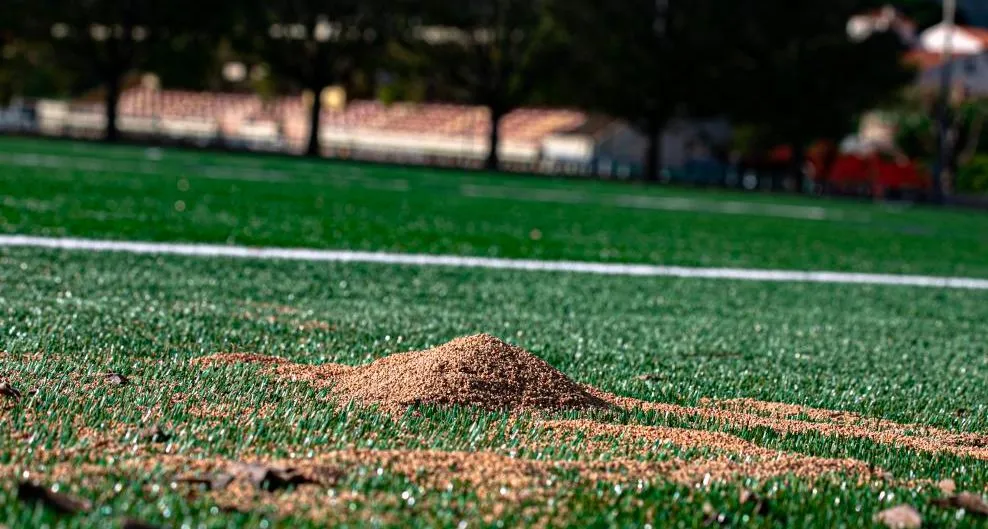 Misha Djorkaeff : «<span style="font-size:50%"> </span>Noyaux d’olives ou billes en caoutchouc, on est contents : on a un synthé<span style="font-size:50%"> </span>»