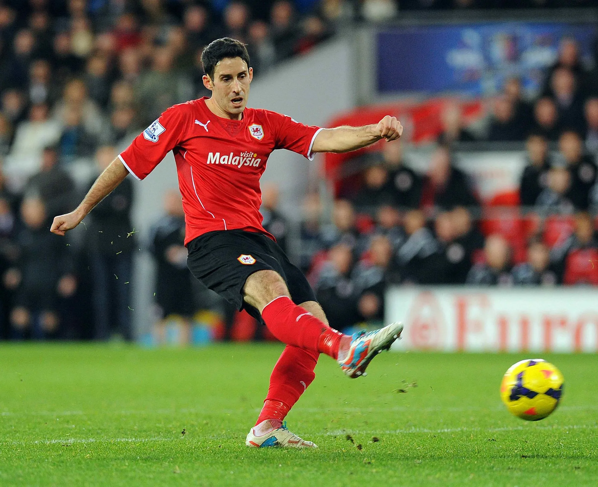 Peter Whittingham, le dernier chant du Bluebird