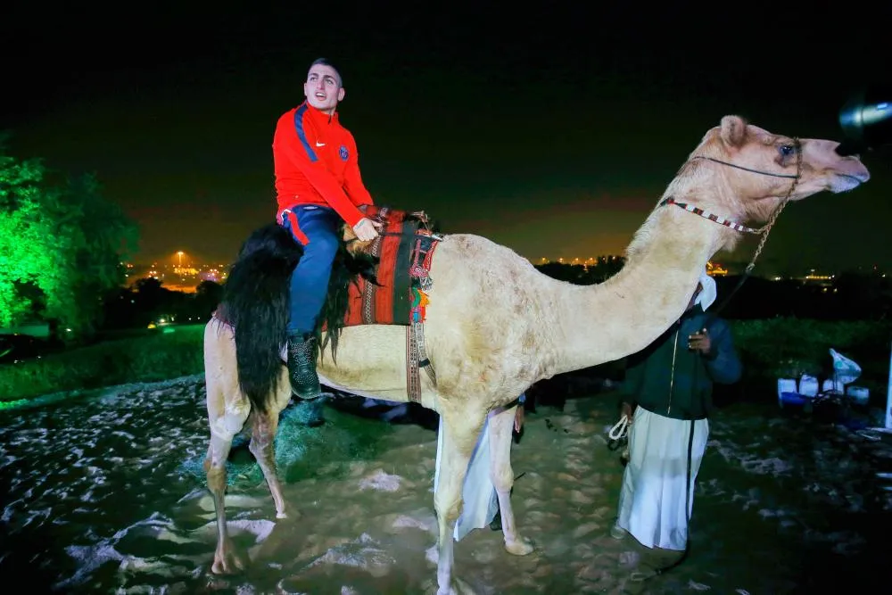 Vers un tournoi estival au Qatar pour quatre clubs de Ligue 1 ?