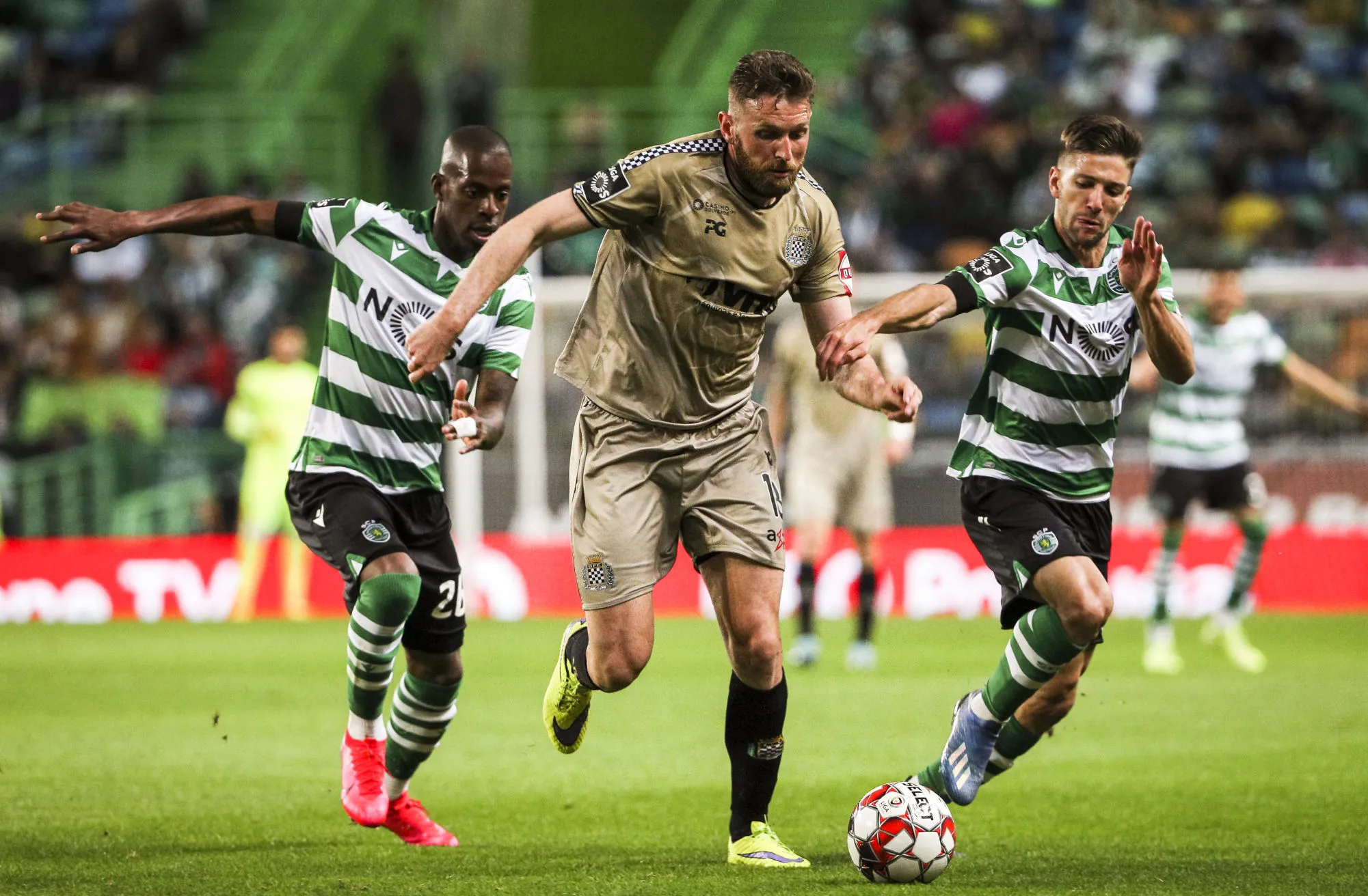 Pronostic Boavista Moreirense : Analyse, prono et cotes du match de Primeira Liga NOS