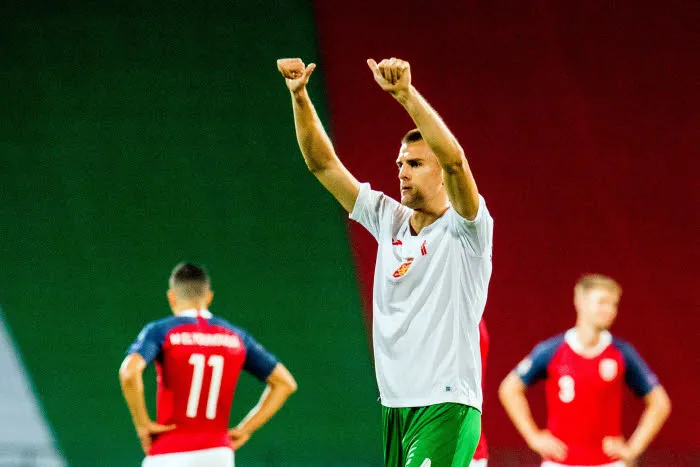 Pronostic Bulgarie Irlande : Analyse, cotes et prono de la finale de Ligue des Nations B