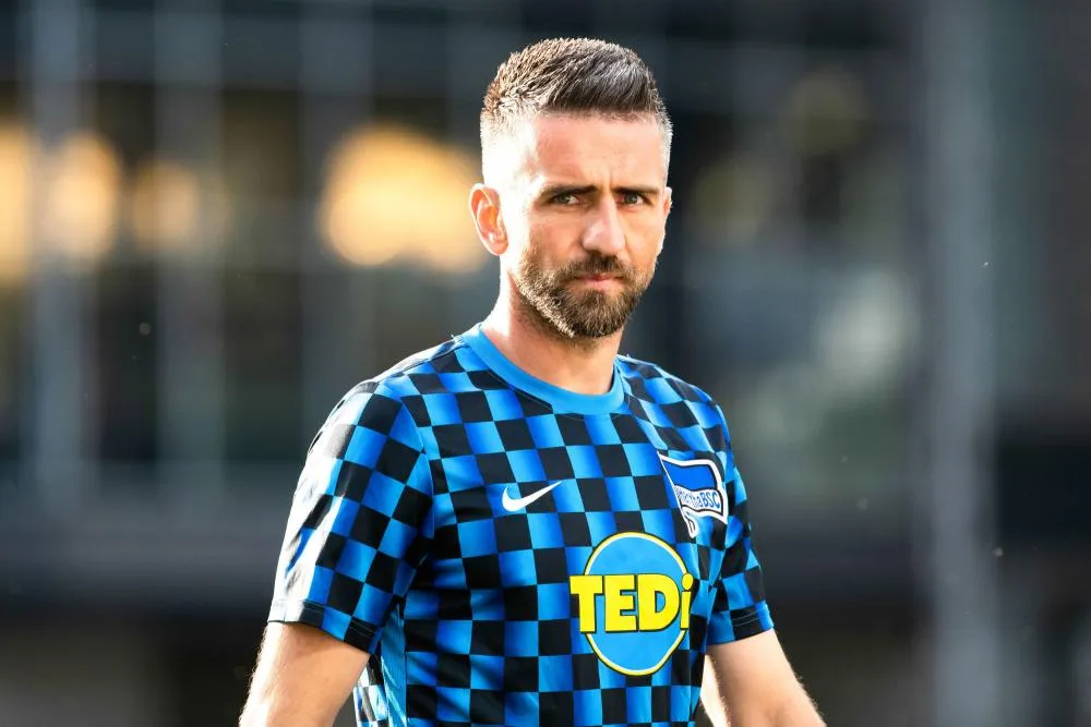Vedad Ibišević signe à Schalke 04