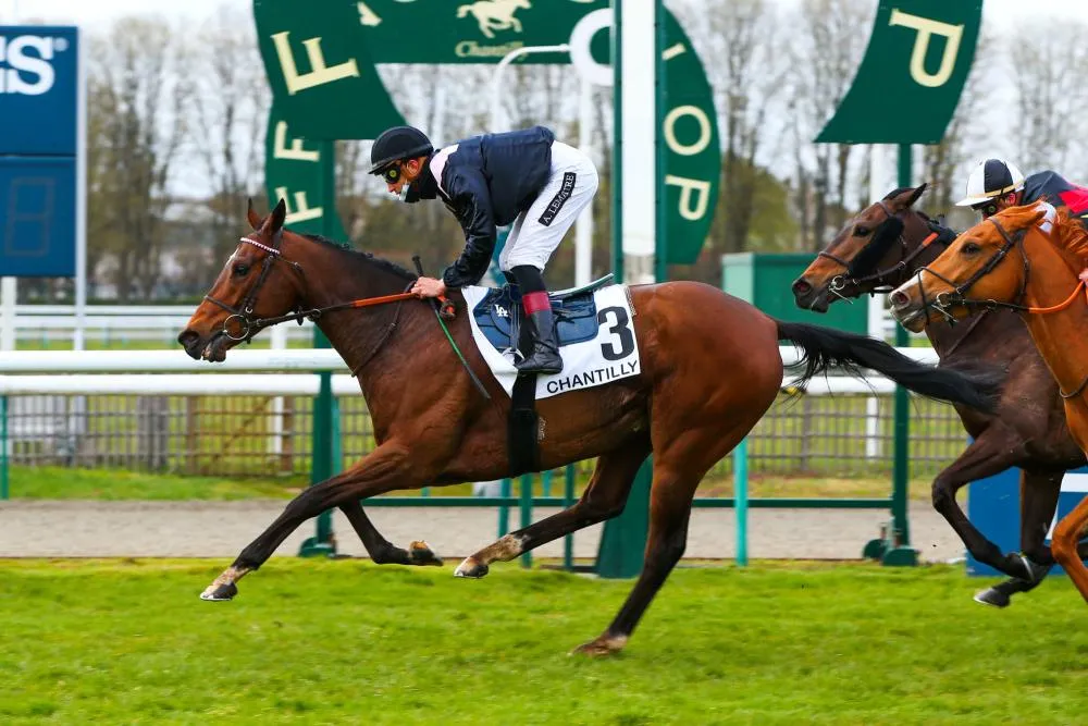 Le cheval d&rsquo;Antoine Griezmann remporte son premier Quinté+