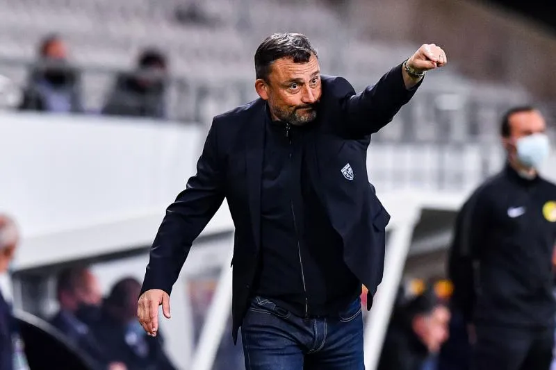 Franck Haise rempile au Racing Club de Lens