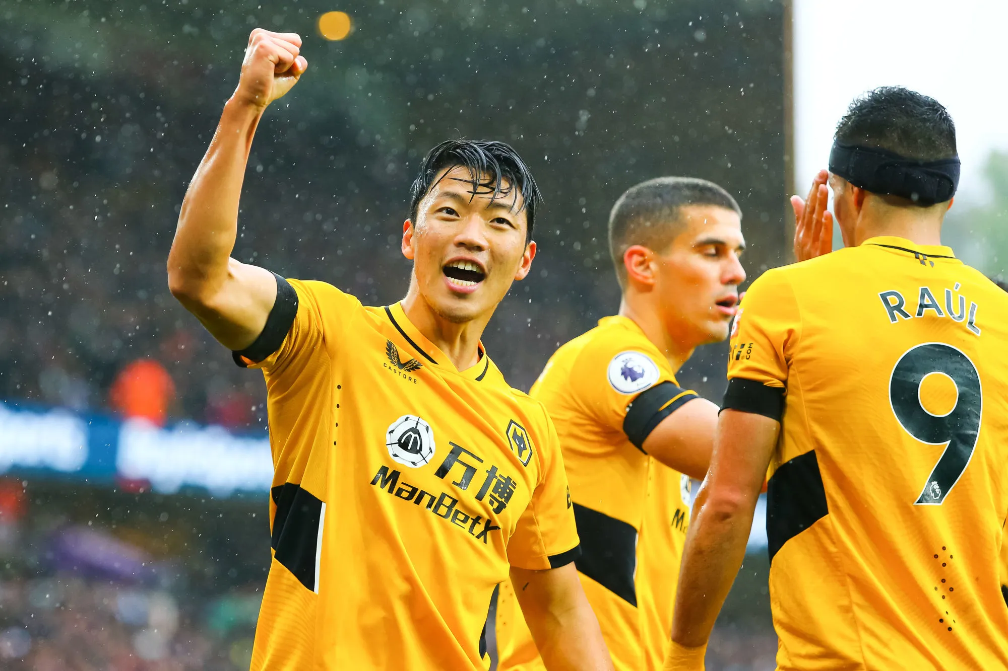 Pronostic Wolverhampton Everton : Analyse, cotes et prono du match de Premier League