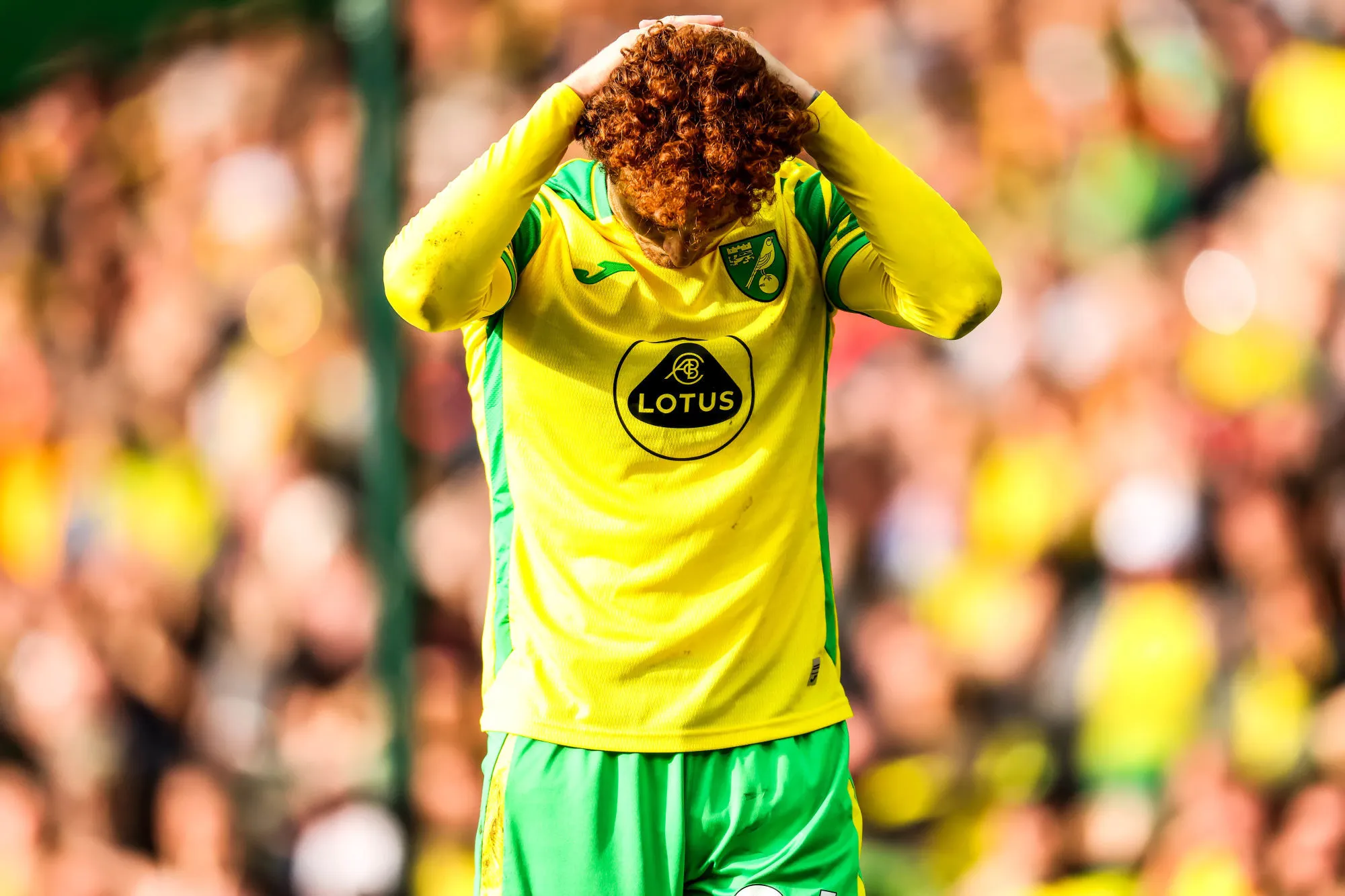 Stuart Webber : «<span style="font-size:50%"> </span>Nous ne sommes pas venus pour être des touristes<span style="font-size:50%"> </span>»