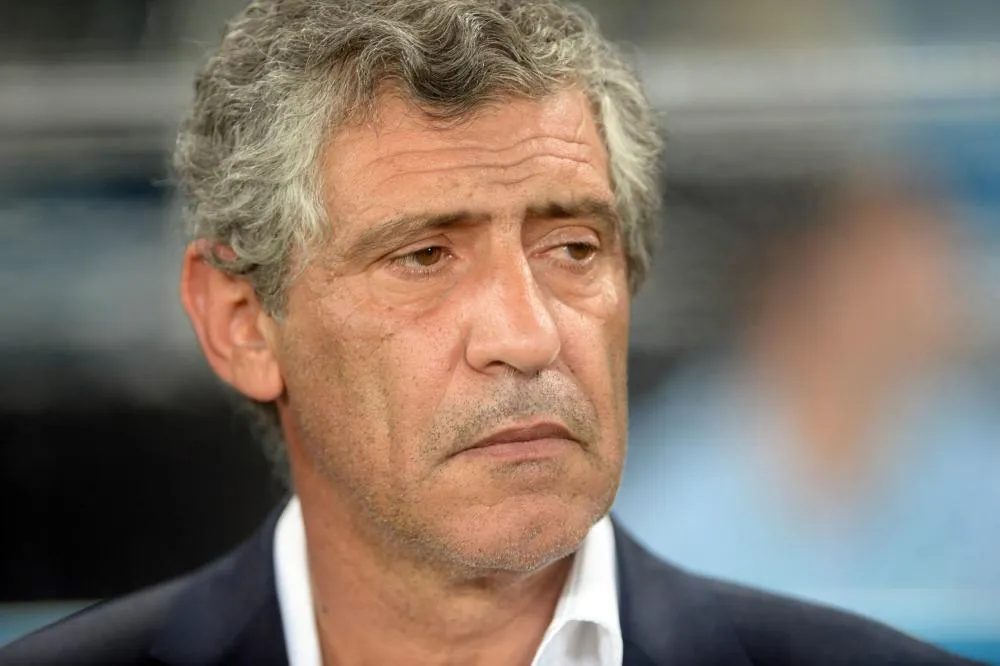 Le président de la Fédération grecque veut Fernando Santos