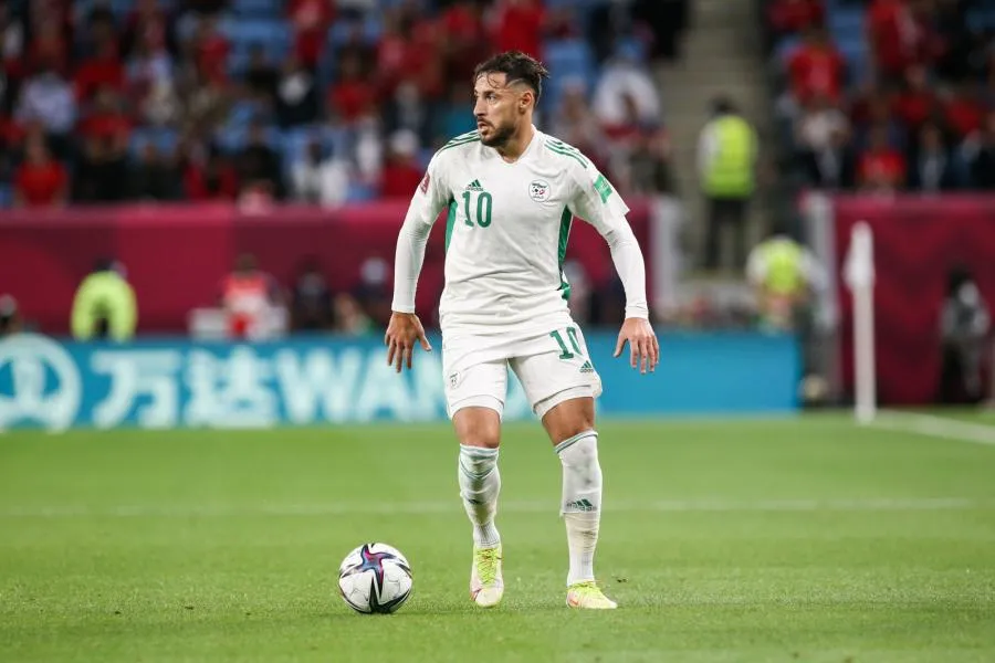 Algérie et Qatar, une histoire croisée