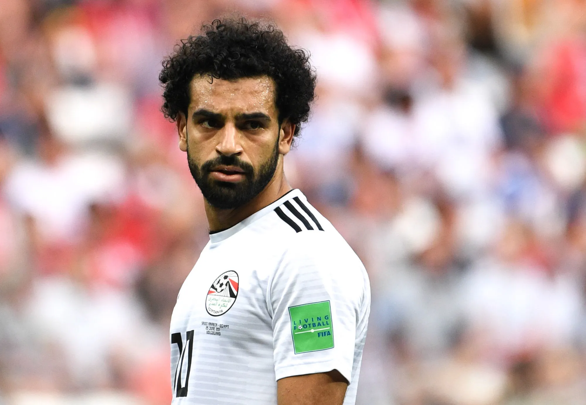 Pronostic Nigeria Egypte : Analyse cote et pronostic du match de la CAN 2022