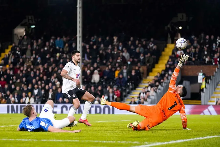 Fulham-Blackpool interrompu après l’intervention urgente des médecins en tribune