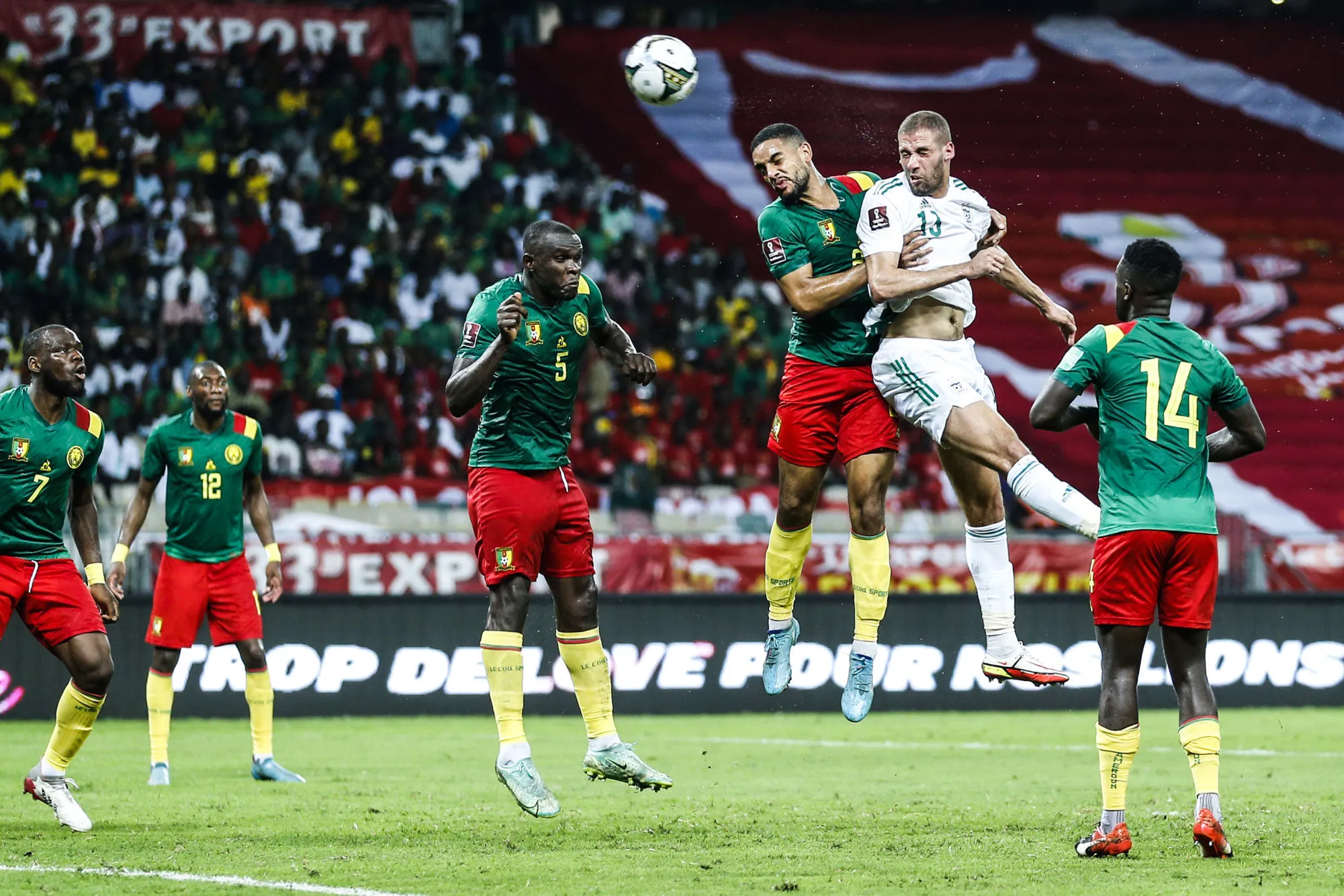 En direct : Algérie – Cameroun