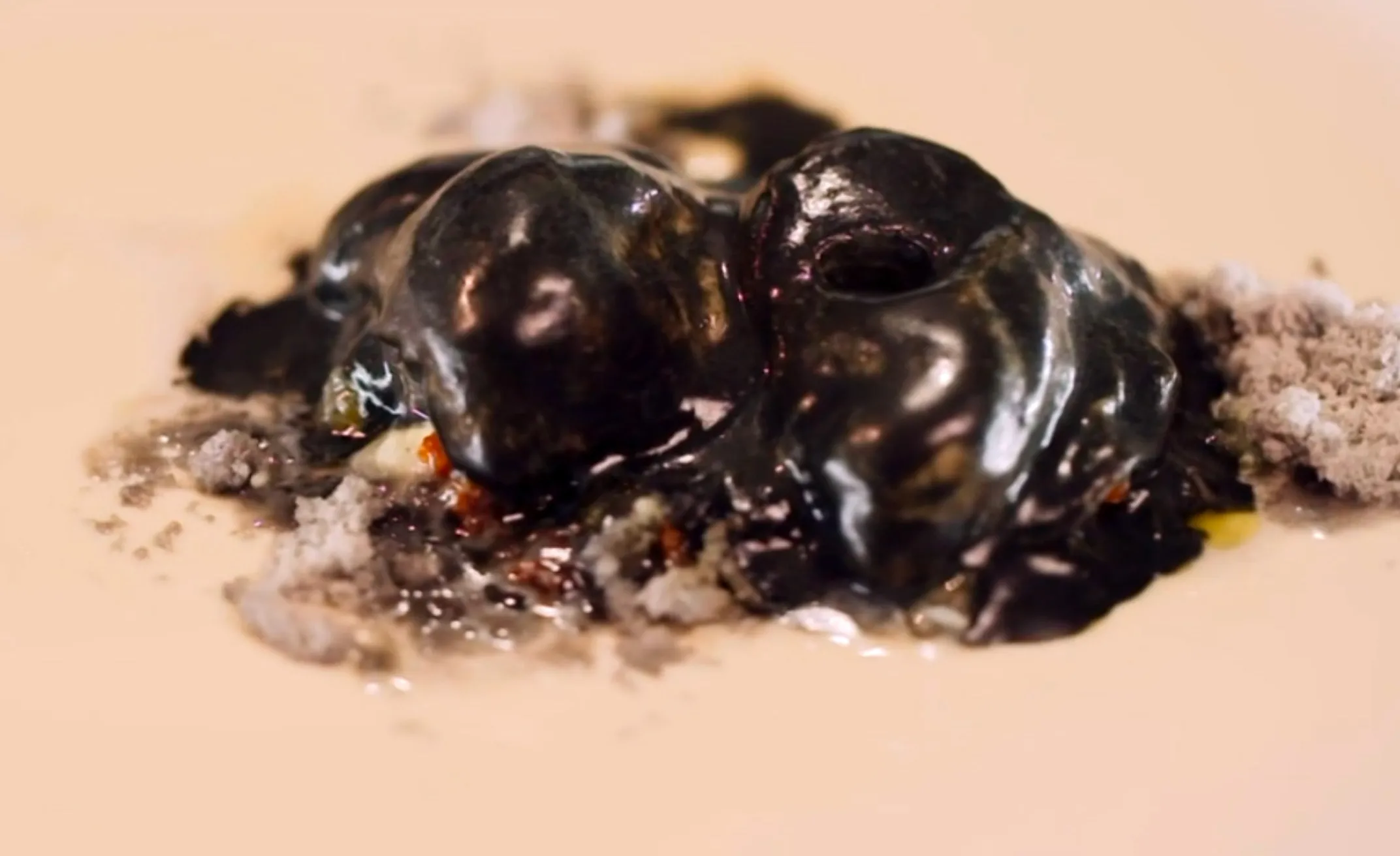 Top Chef saison 13 : les notes de l&rsquo;épisode 13