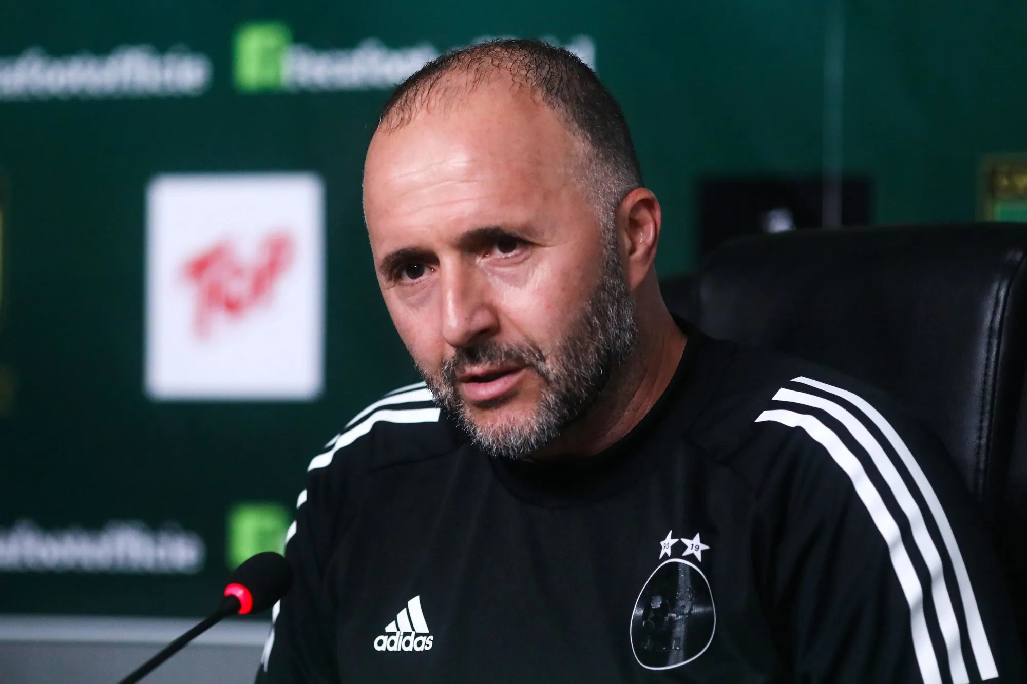 Algérie : Djamel Belmadi n'a toujours pas démissionné - International -  Algérie - SO FOOT.com