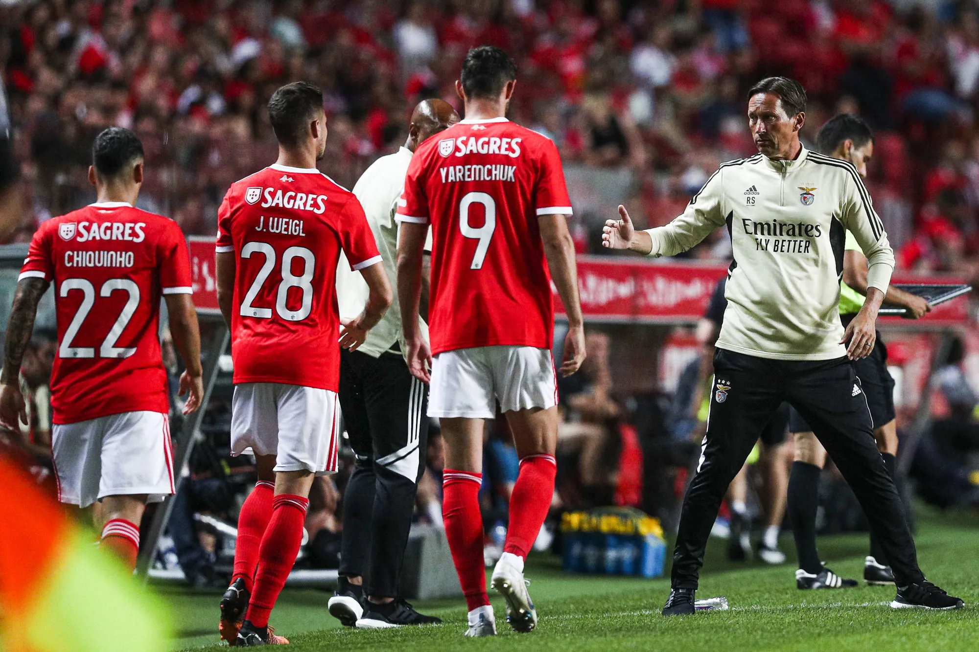 Pronostic Benfica Dynamo Kiev : Analyse, cotes et prono du barrage retourr de Ligue des Champions