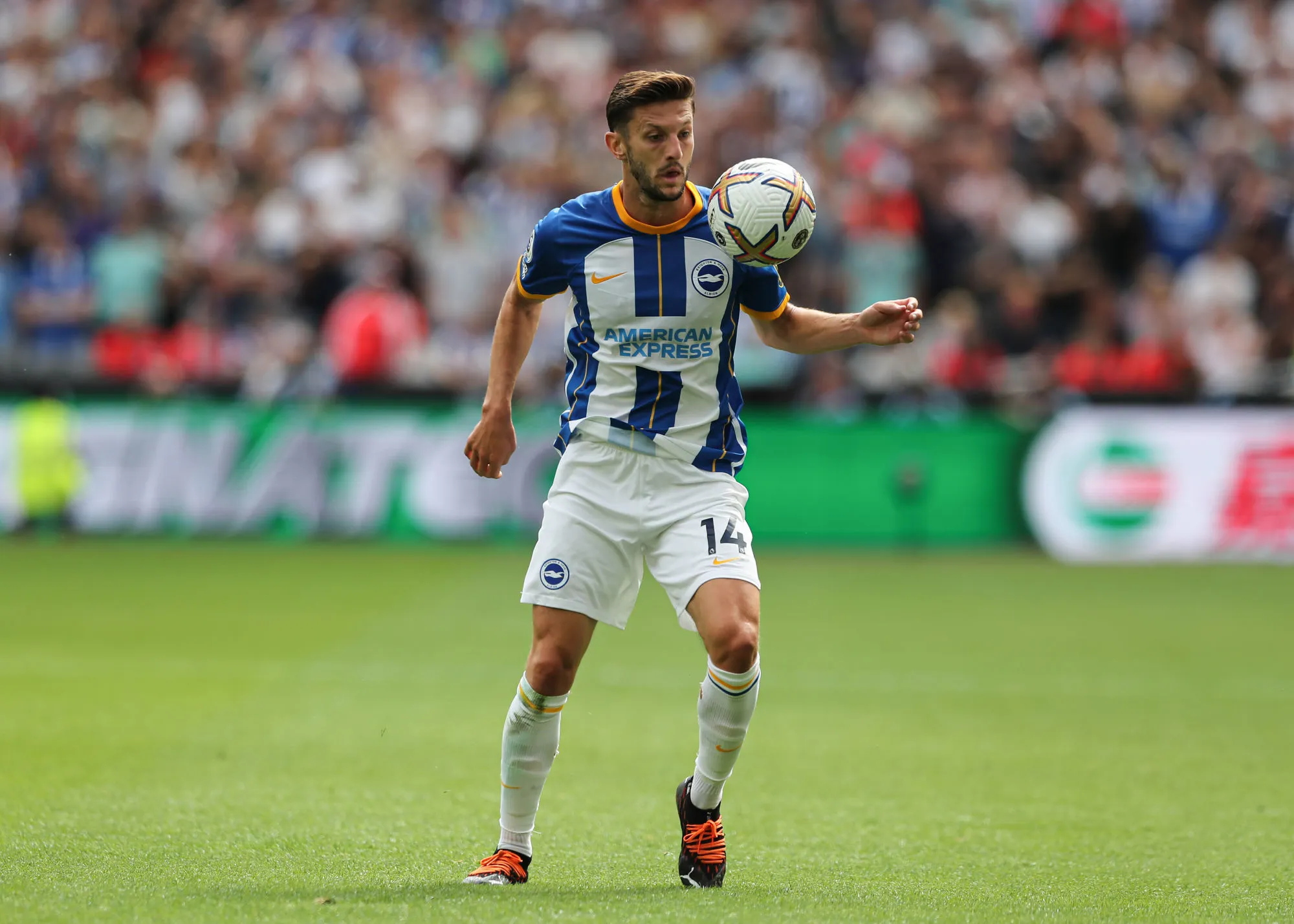 Brighton : joueur au club, Adam Lallana intègre le staff intérimaire
