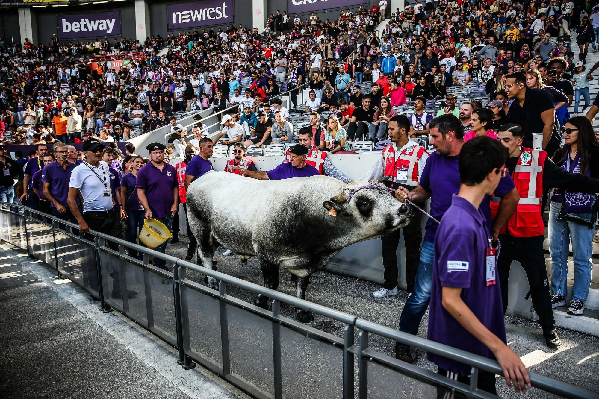 Les notes du week-end de L1