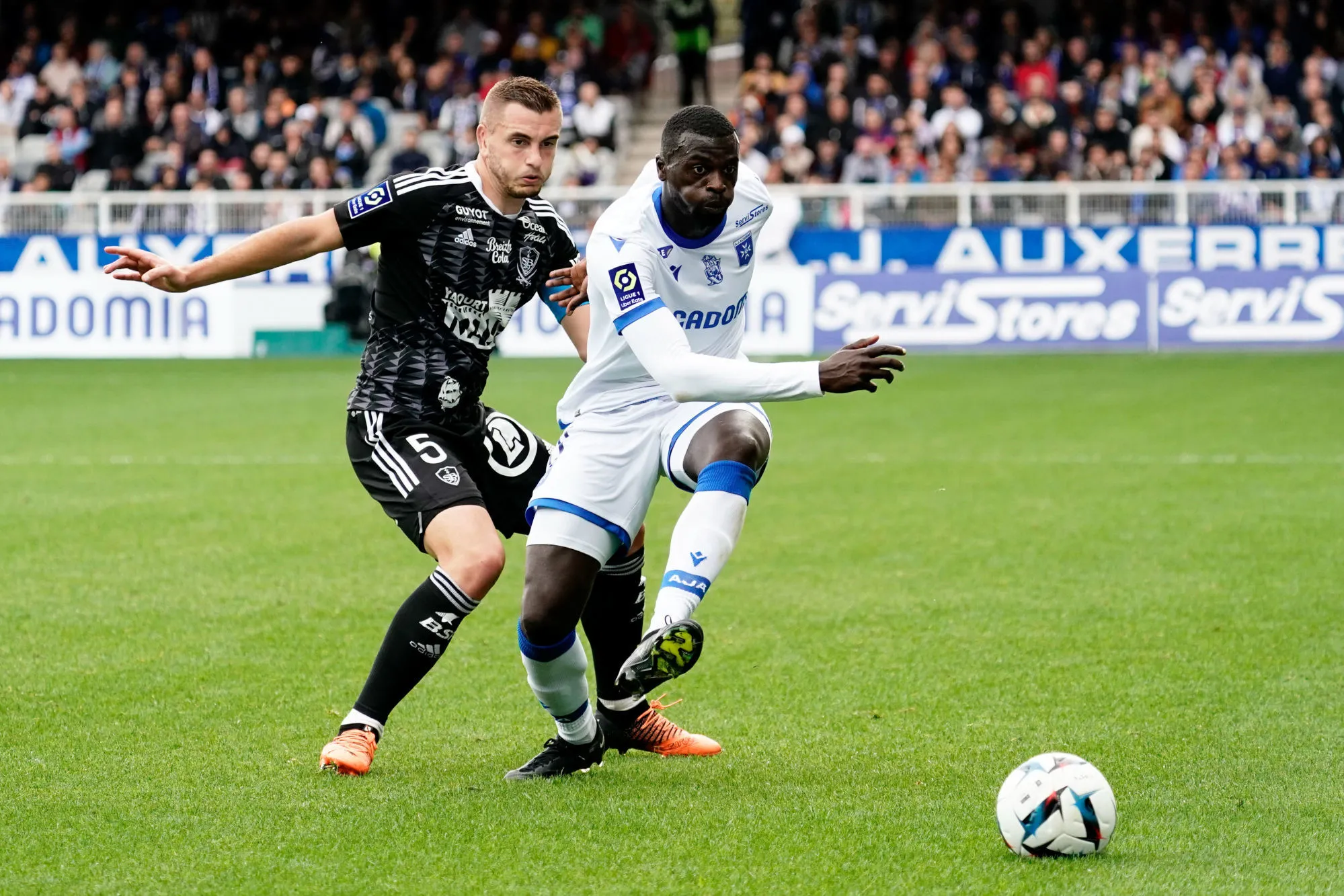 Auxerre et Brest se neutralisent