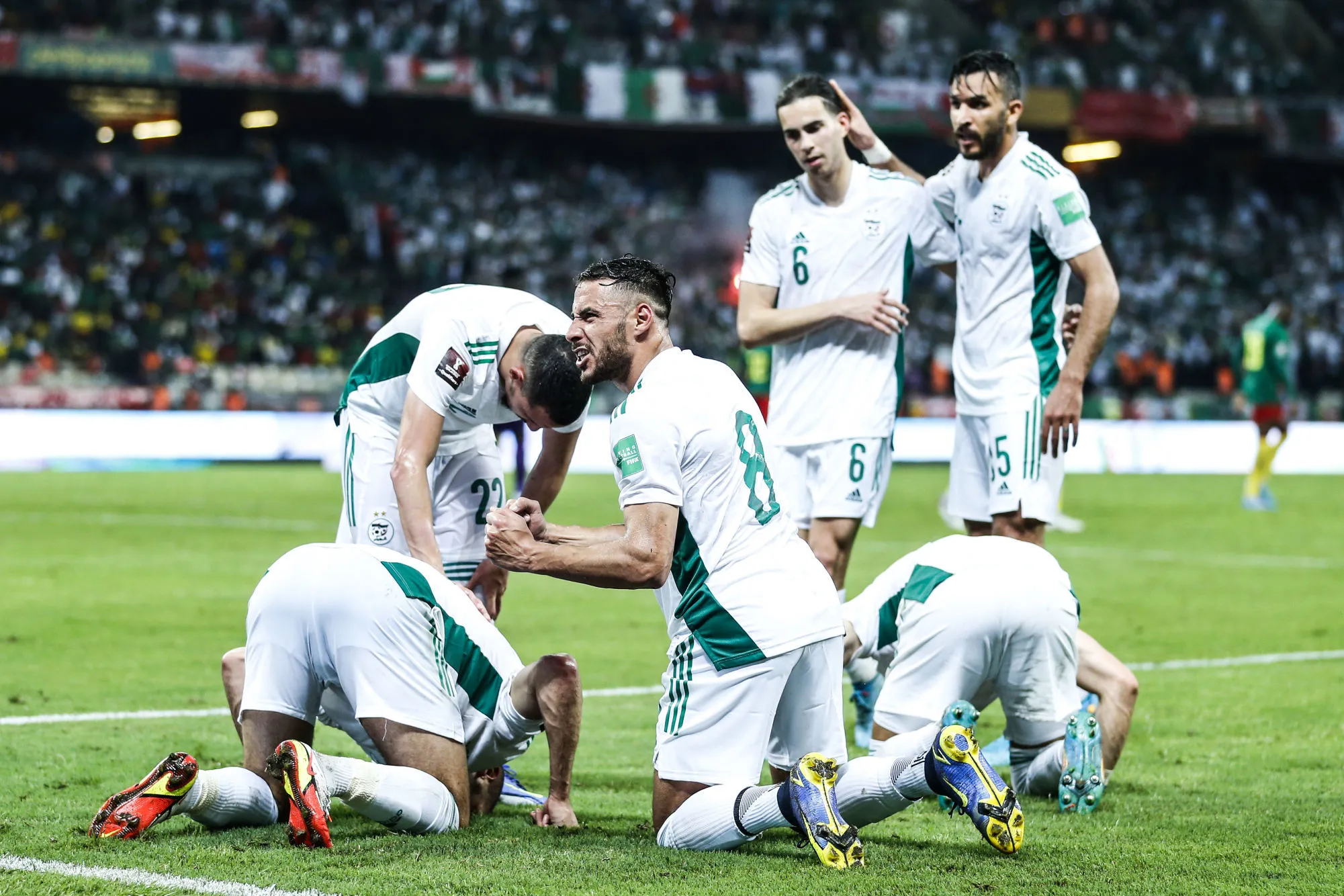 Pronostic Algérie Mali : Analyse, cotes et prono du match amical