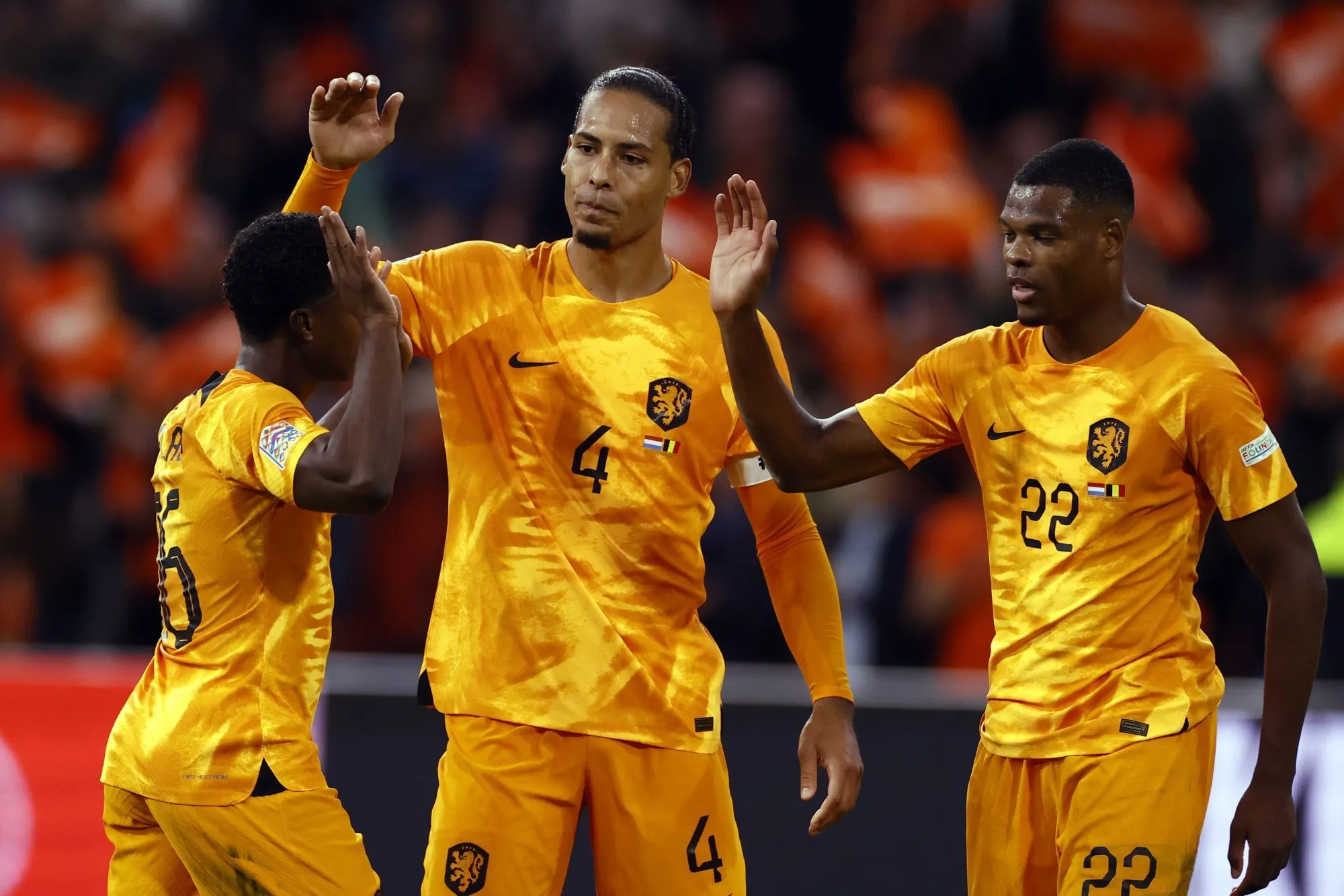 Cotes Sénégal Pays-Bas : meilleures cotes et meilleurs bonus pour parier sur le match de la Coupe du monde